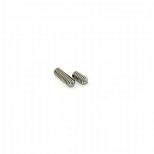 Mortise Cylinder Stainless Steel Retaining Screws Bag of 10 (5 Long and 5 Standard)